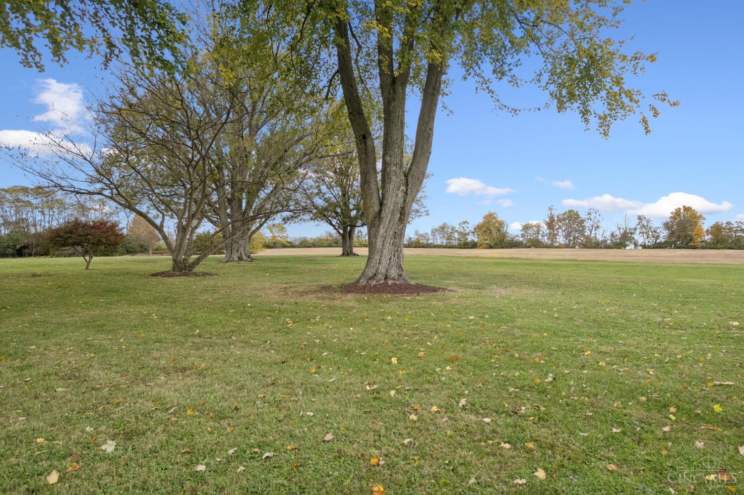 7029 Free Soil Road Georgetown, OH 45121 - Photo 12 of 63