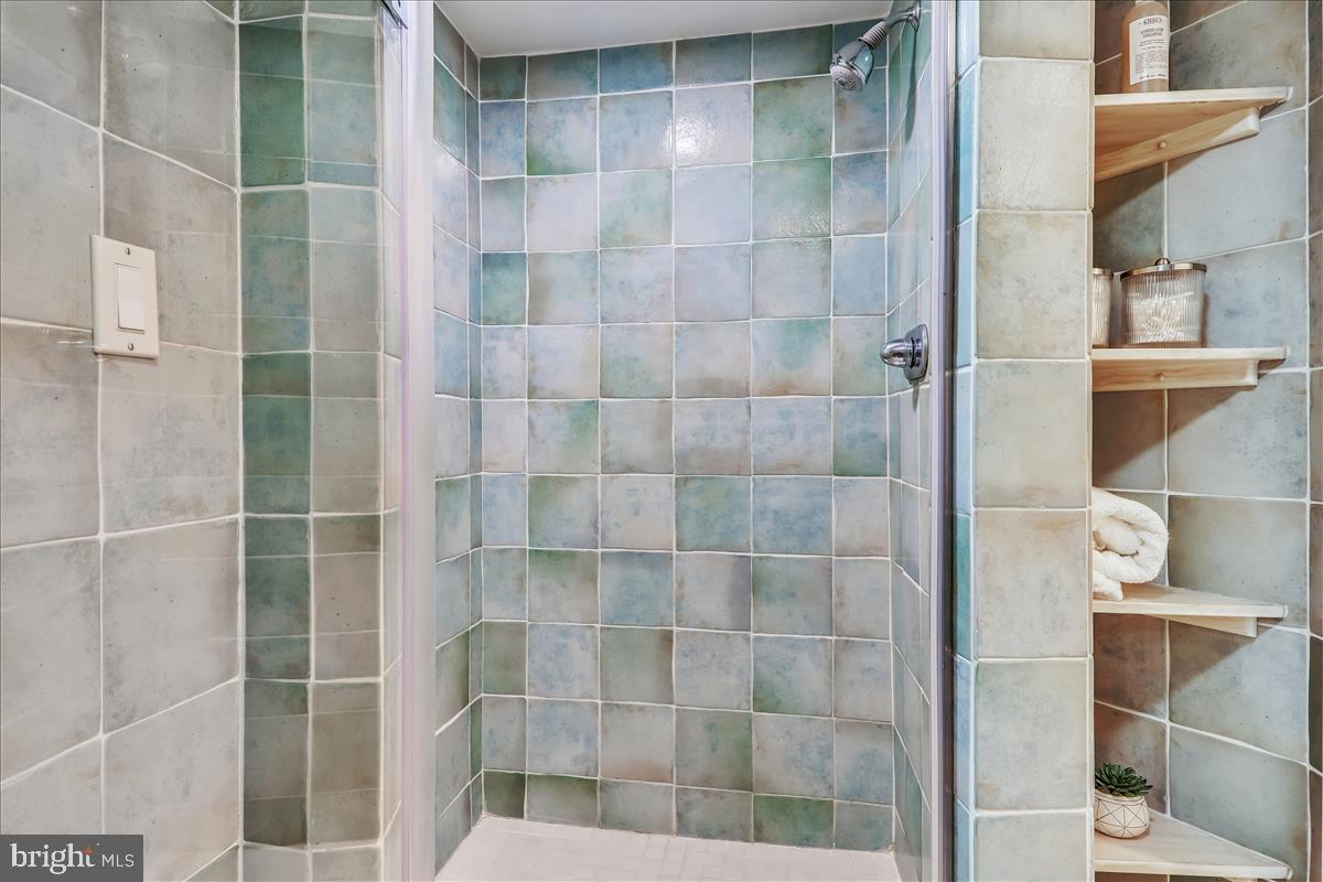 4338 River Road Northwest Washington, DC 20016 - Photo 42 of 58 Full bath