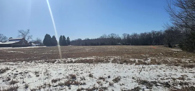 a view of a dry yard