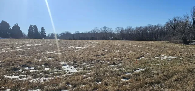a view of a field with trees in background