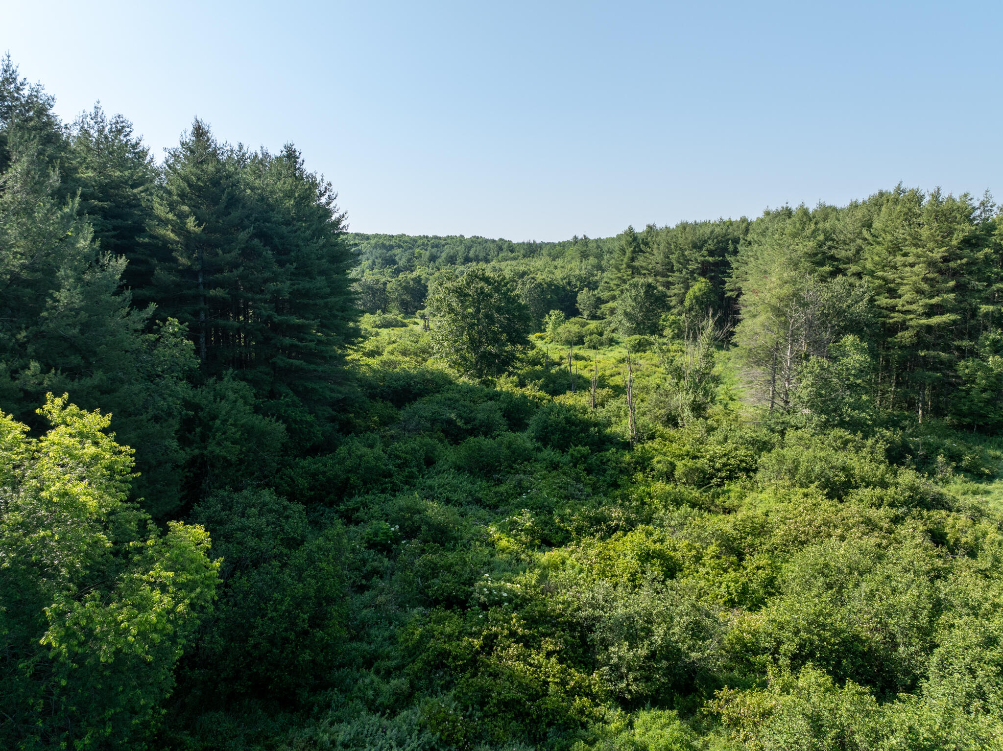 3 Merifield Road Northwest Willis, VA 24380 - Photo 11 of 28 Merifield parcel 3