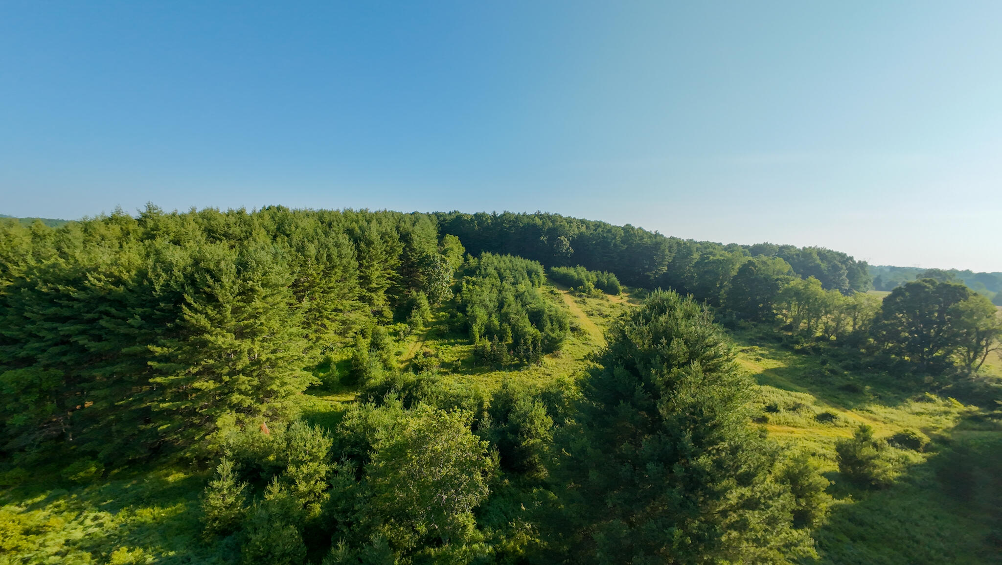 3 Merifield Road Northwest Willis, VA 24380 - Photo 5 of 28 Parcel 3-19