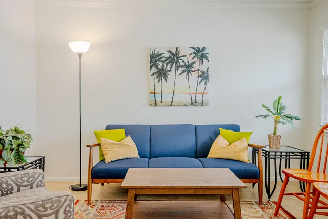 a living room with furniture and a potted plant