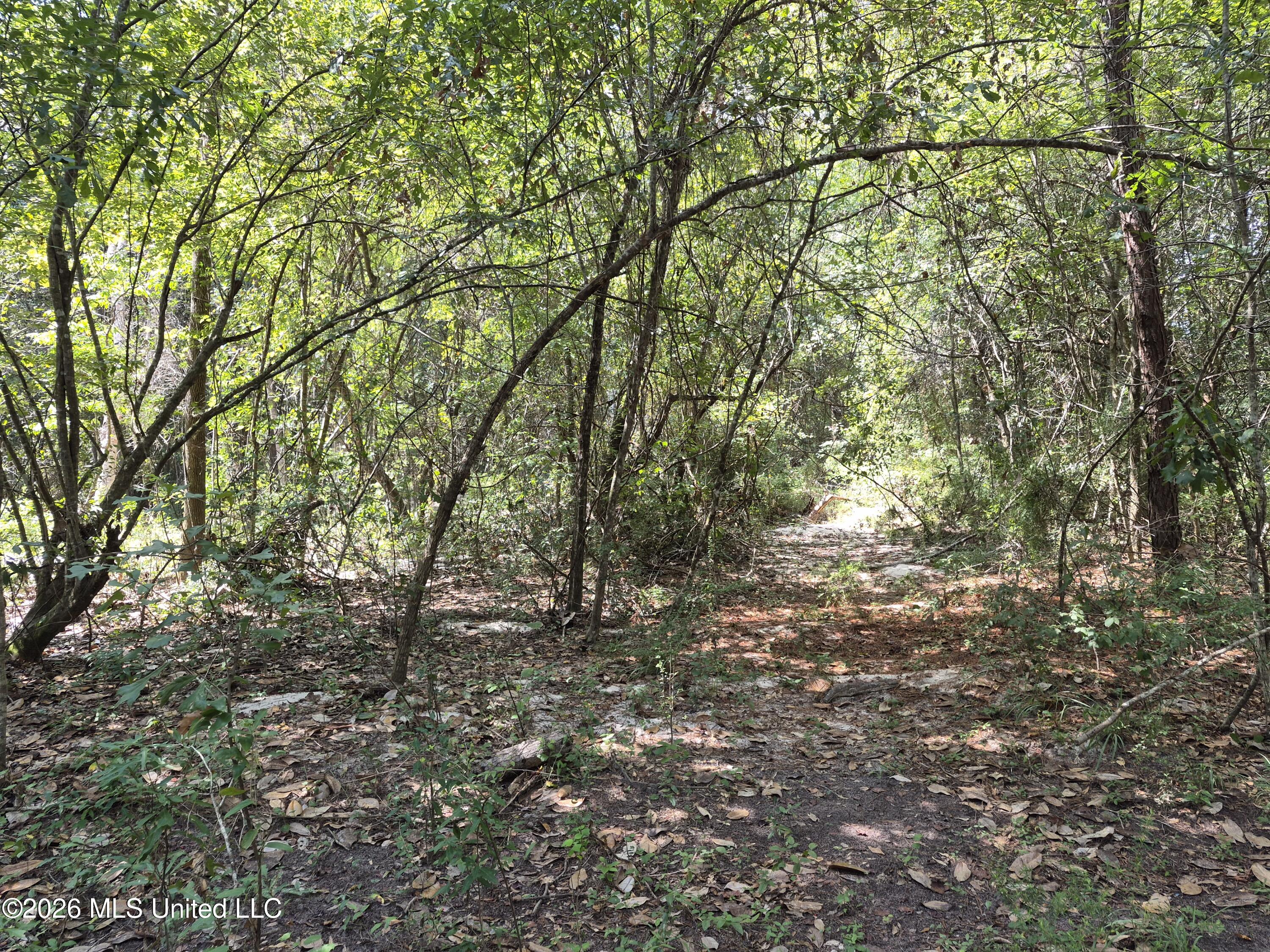 13756 River Road Gulfport, MS 39503 - Photo 70 of 93 Wooded West End