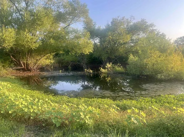 a view of a field with an trees in the background