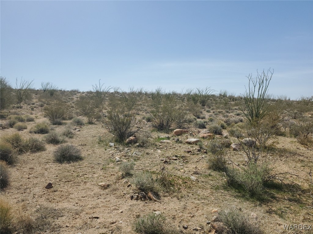 Lot 6 South Cascabel Road Yucca, AZ 86438 - Photo 11 of 13 a view of a covered with trees in the background