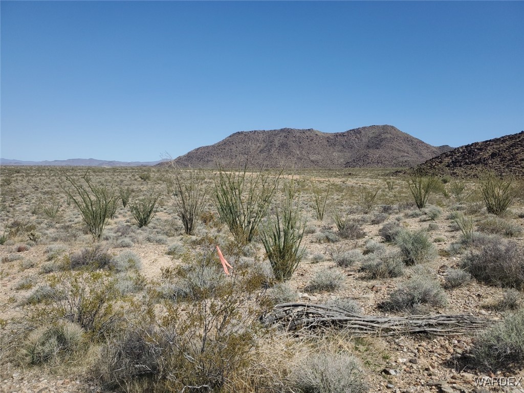 Lot 6 South Cascabel Road Yucca, AZ 86438 - Photo 5 of 13 a view of a dry yard with mountains in the background