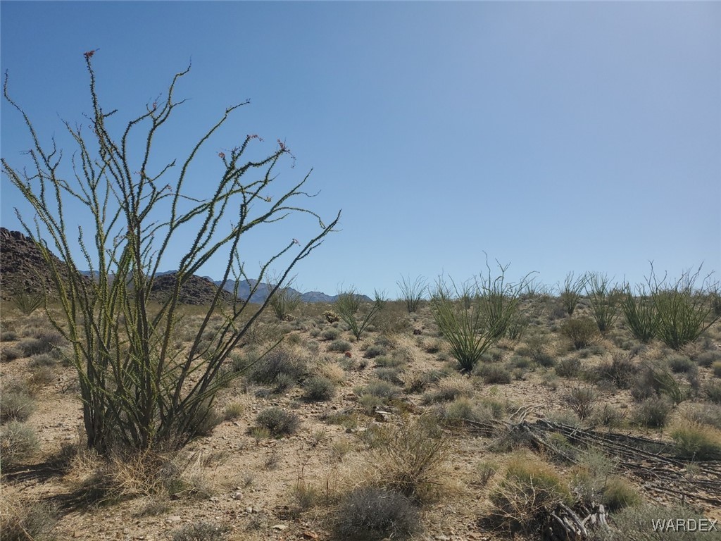 Lot 6 South Cascabel Road Yucca, AZ 86438 - Photo 6 of 13 a view of a yard