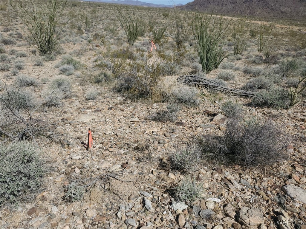 Lot 6 South Cascabel Road Yucca, AZ 86438 - Photo 8 of 13 a view of a dry yard with large trees