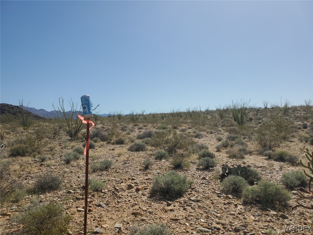 Lot 6 South Cascabel Road Yucca, AZ 86438 - Photo 10 of 13 a view of a dry yard