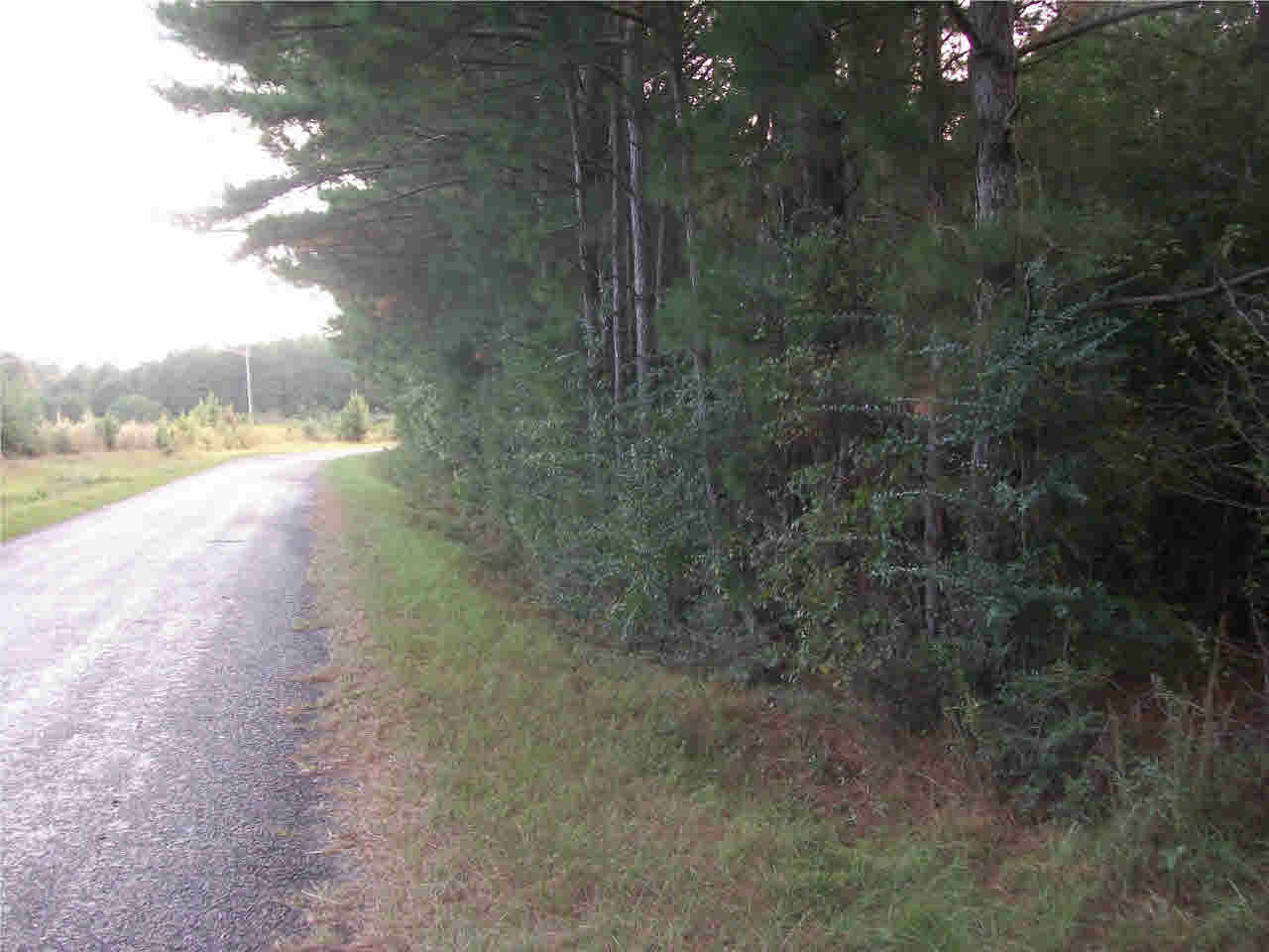 15 acres of undeveloped land.