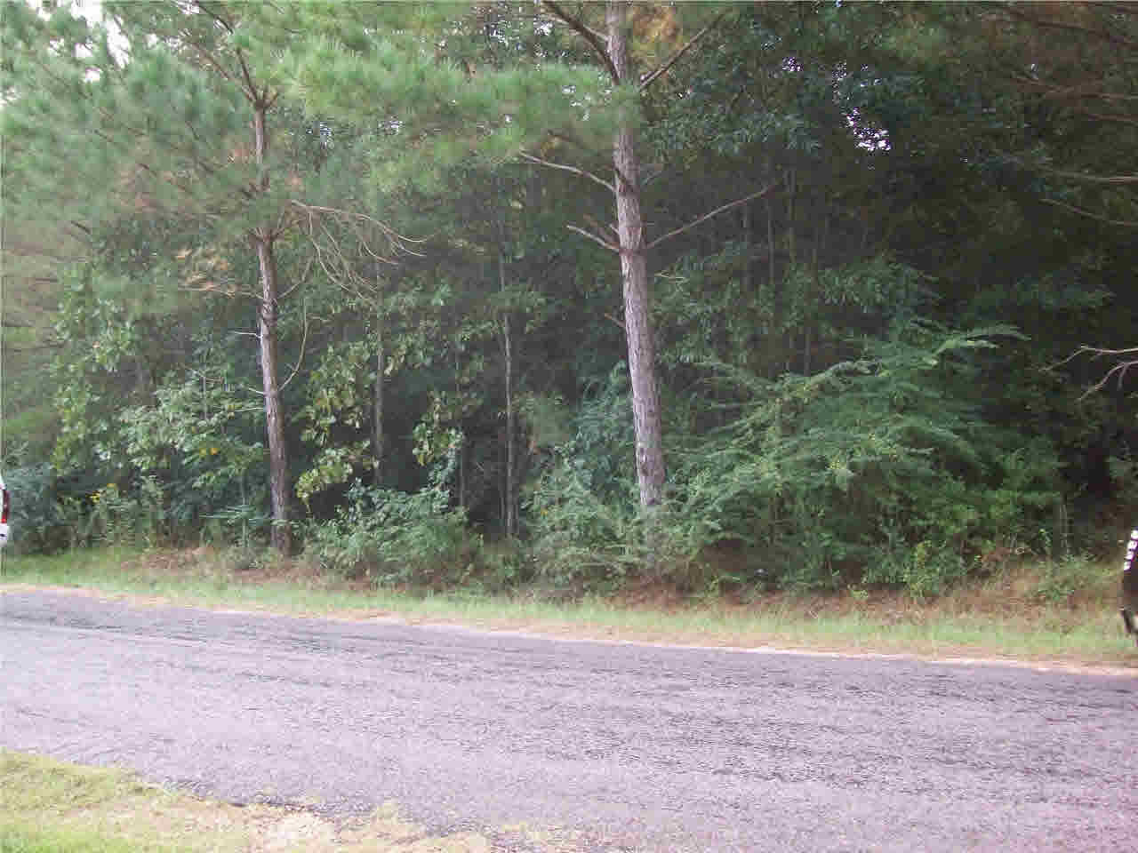 0 Barnes Road Collins, MS 39428 - Photo 3 of 5 Home sites in area.