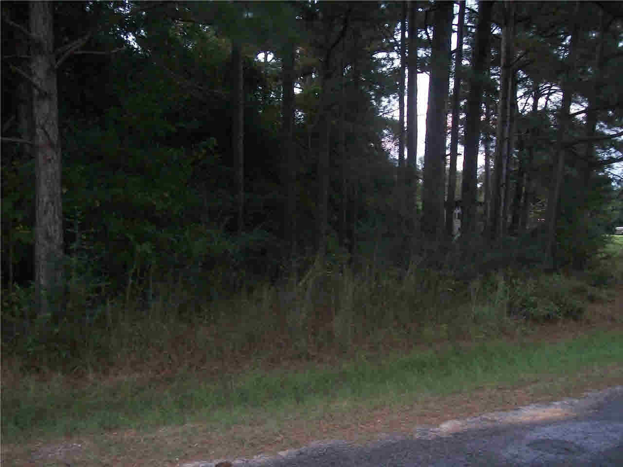 0 Barnes Road Collins, MS 39428 - Photo 5 of 5 Friendship Community