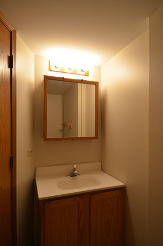 5519 West Cal Sag Road Alsip, IL 60803 - Photo 5 of 11
