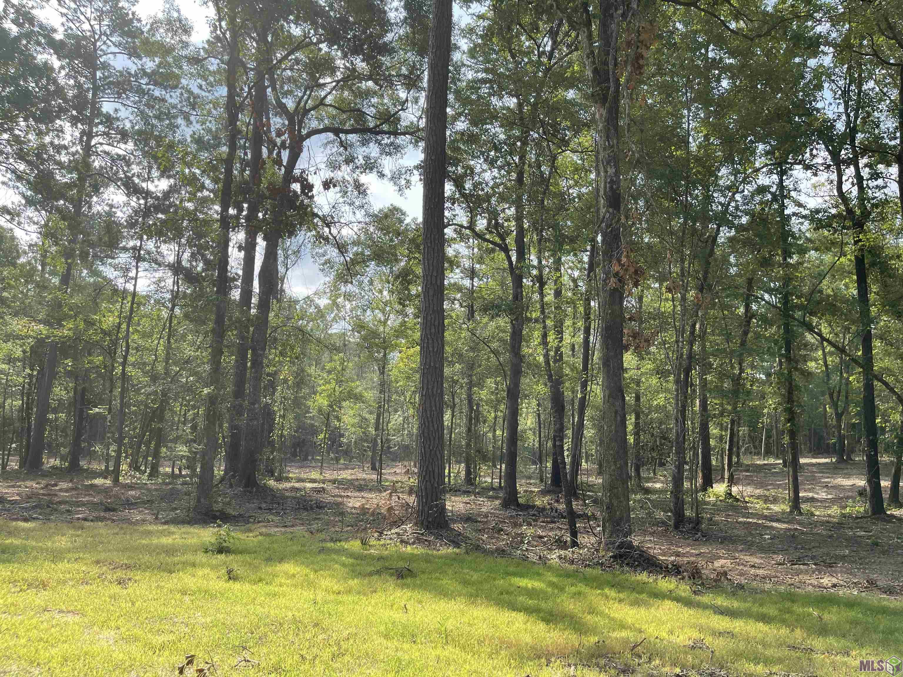 Tbd Hepzibah Road Clinton, LA 70722 - Photo 1 of 1 Gallery Image 1