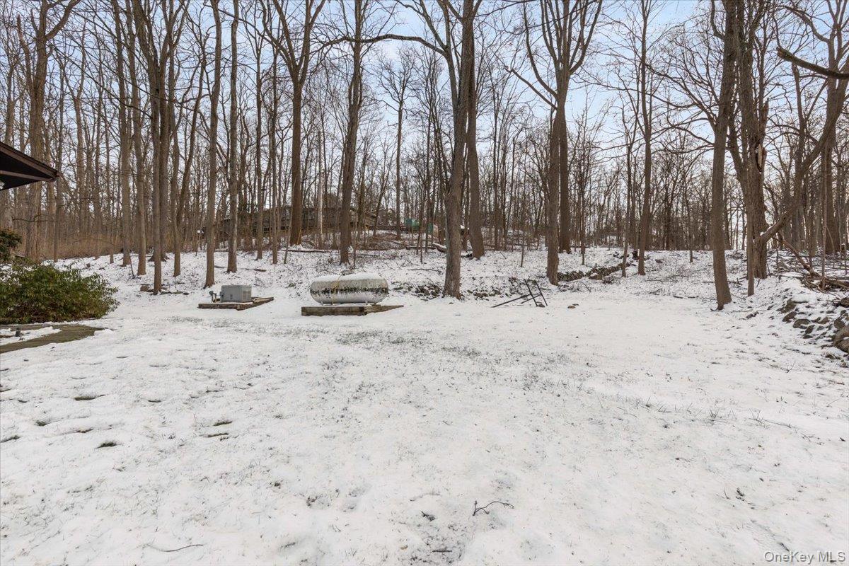 111 Philipse Brook Road Garrison, NY 10524 - Photo 15 of 22 a view of backyard with trees