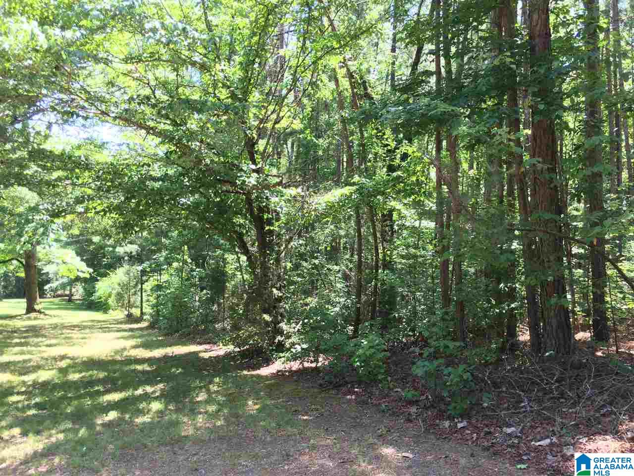 3901 Dean Road, Unit 5 ACRES Pinson, AL 35126 - Photo 4 of 25