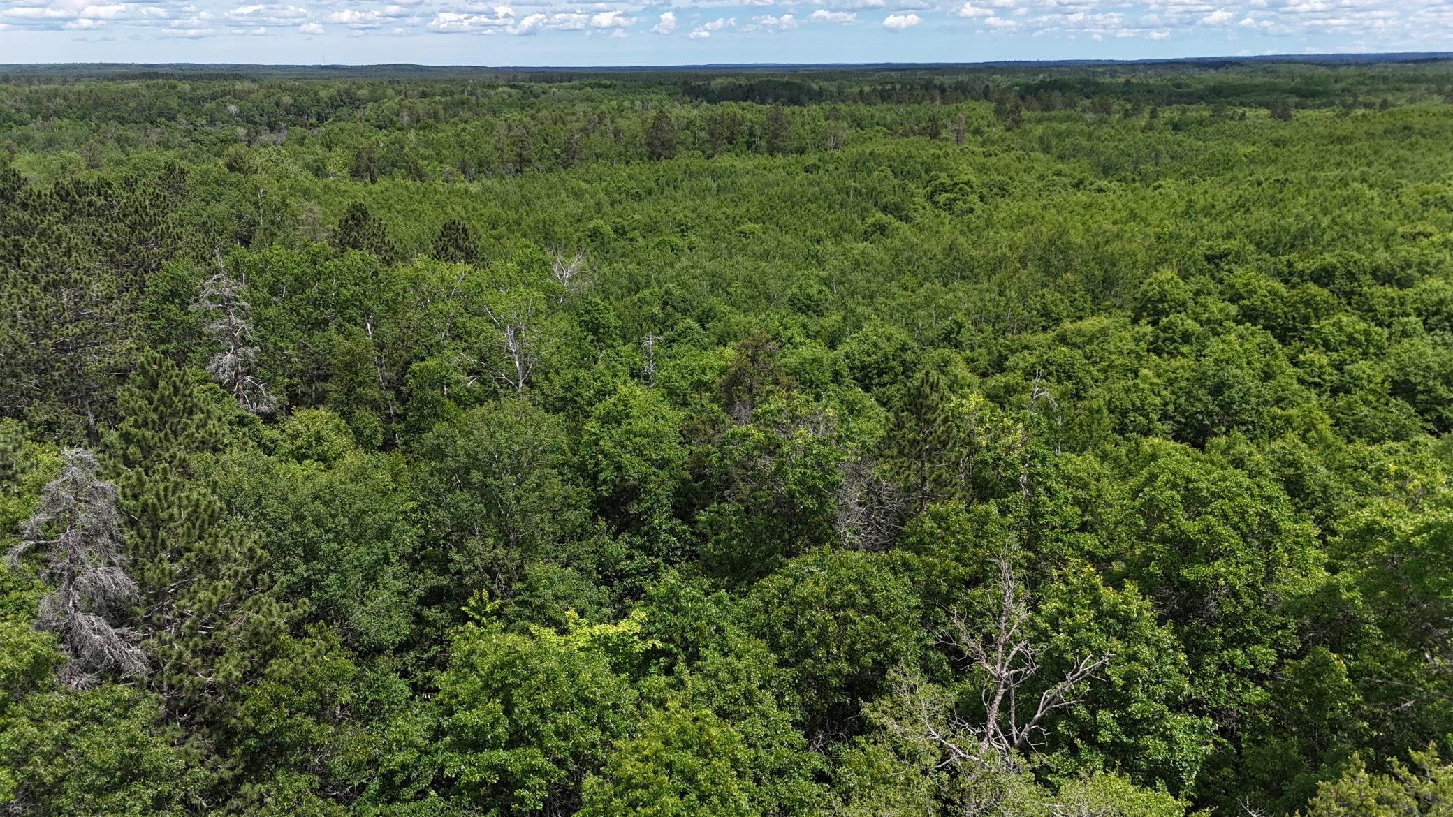 12997 East Mail Road Gordon, WI 54838 - Photo 8 of 65