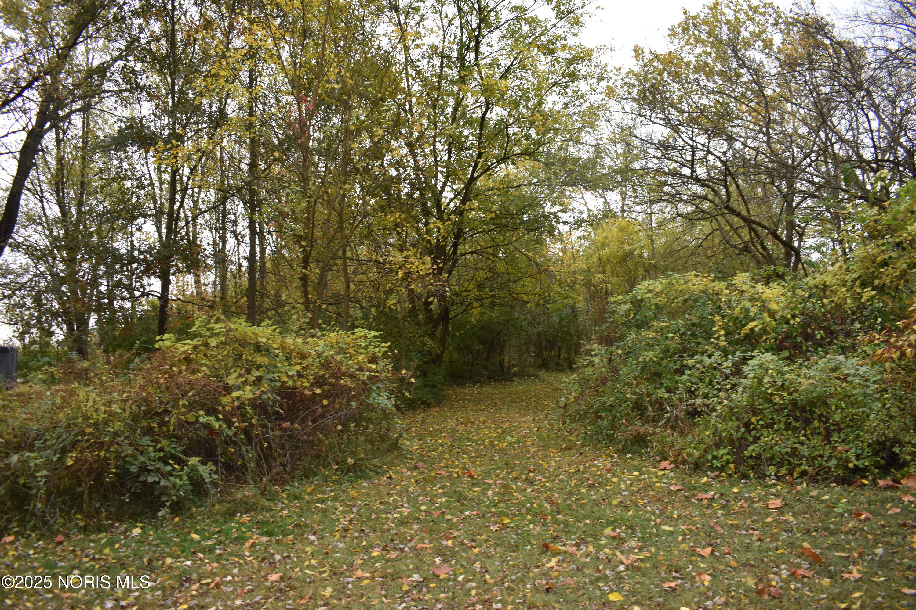 9340 Stitt Road Whitehouse, OH 43571 - Photo 14 of 50 November 20 RE (13)