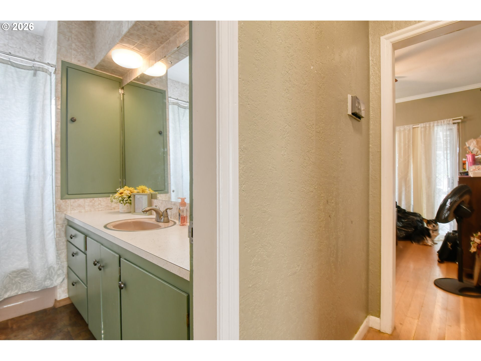 607 Southwest Court Avenue Pendleton, OR 97801 - Photo 20 of 48 a bathroom with a sink and a mirror