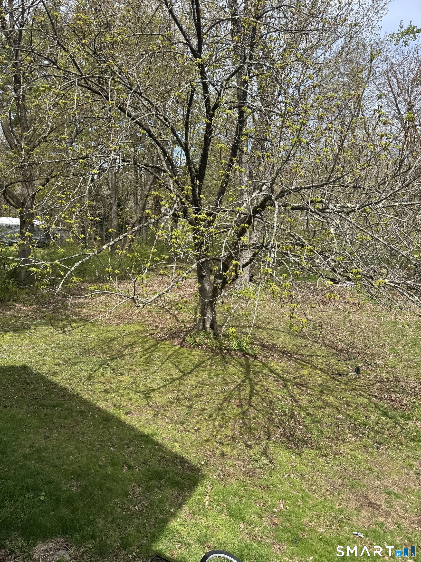 33 Terrace View Norfolk, CT 06058 - Photo 30 of 33 back yard