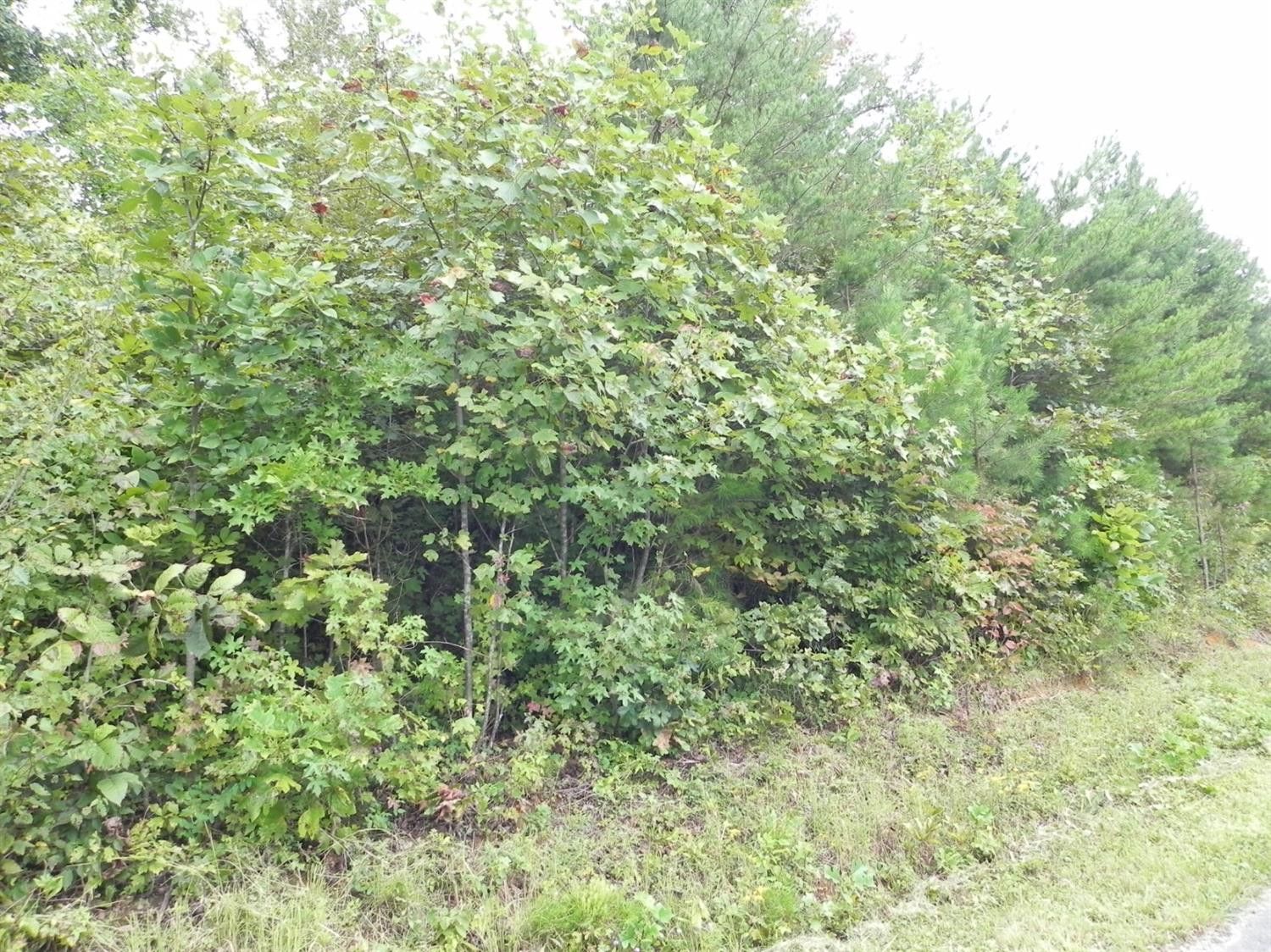 1111 Nora Belle Road London, KY 40741 - Photo 8 of 12 Photo 8