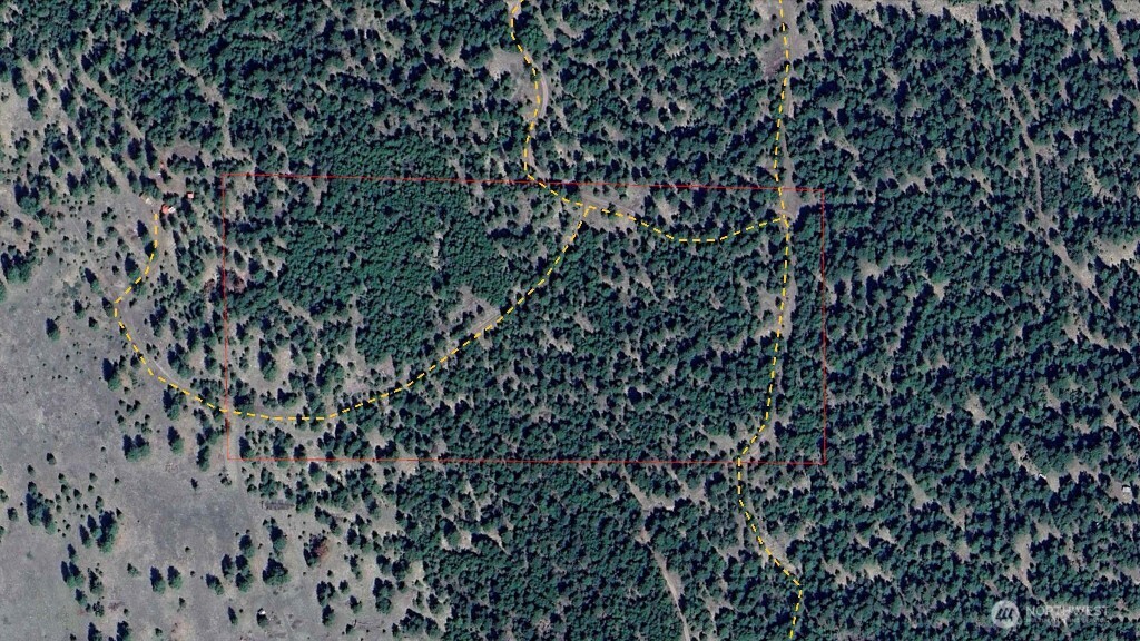 188 Rebel Road Oroville, WA 98844 - Photo 5 of 37 Gallery Image 5