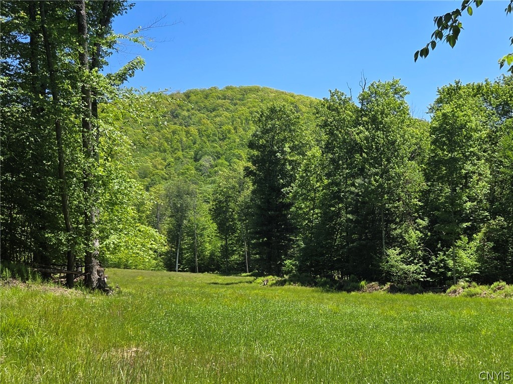 Lillibridge Road Olean, NY 14760 - Photo 1 of 48