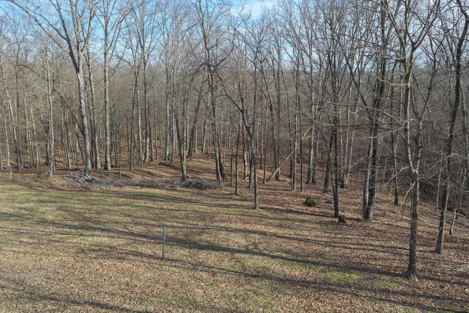 266 Brush Hill Road Carbondale, IL 62901 - Photo 3 of 32