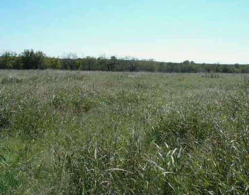 0 Track Road Lockhart, TX 78644 - Photo 1 of 1 Exterior Front : View from the middle of the land