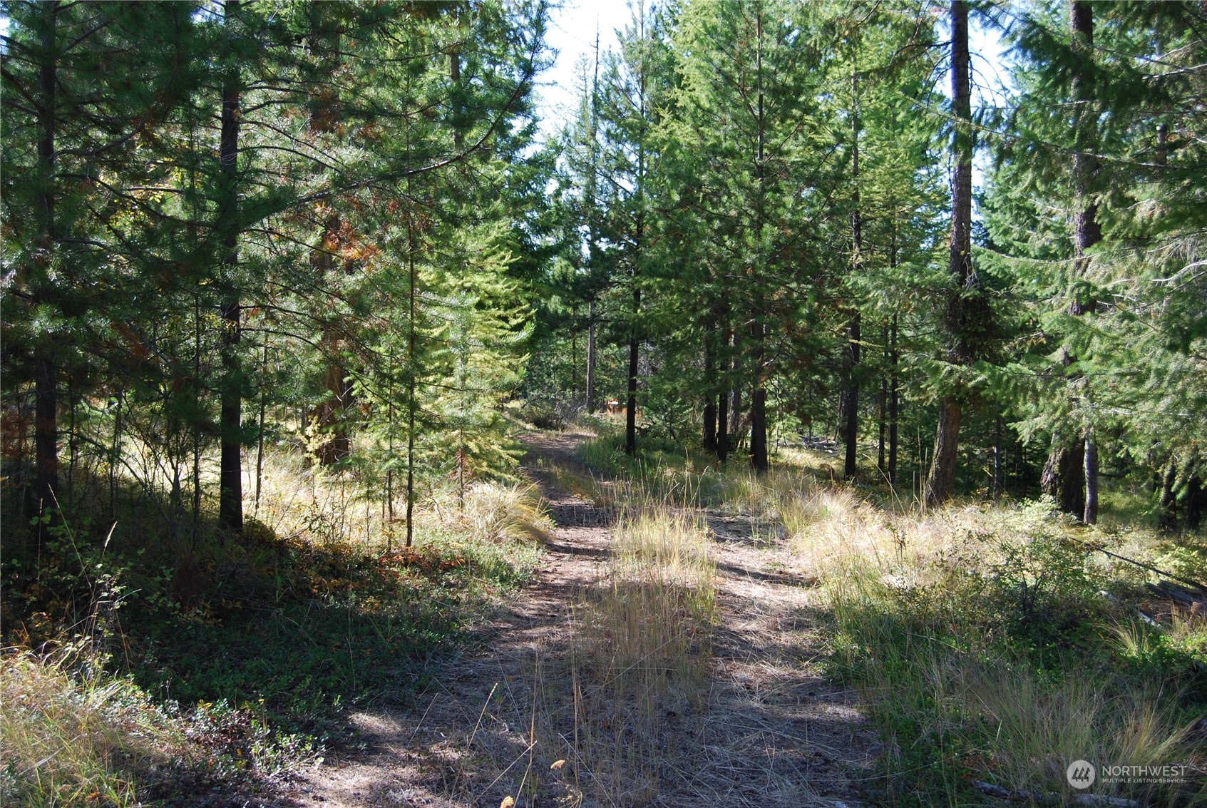 232 Stagecoach Trail Riverside, WA 98849 - Photo 12 of 25 Gallery Image 12