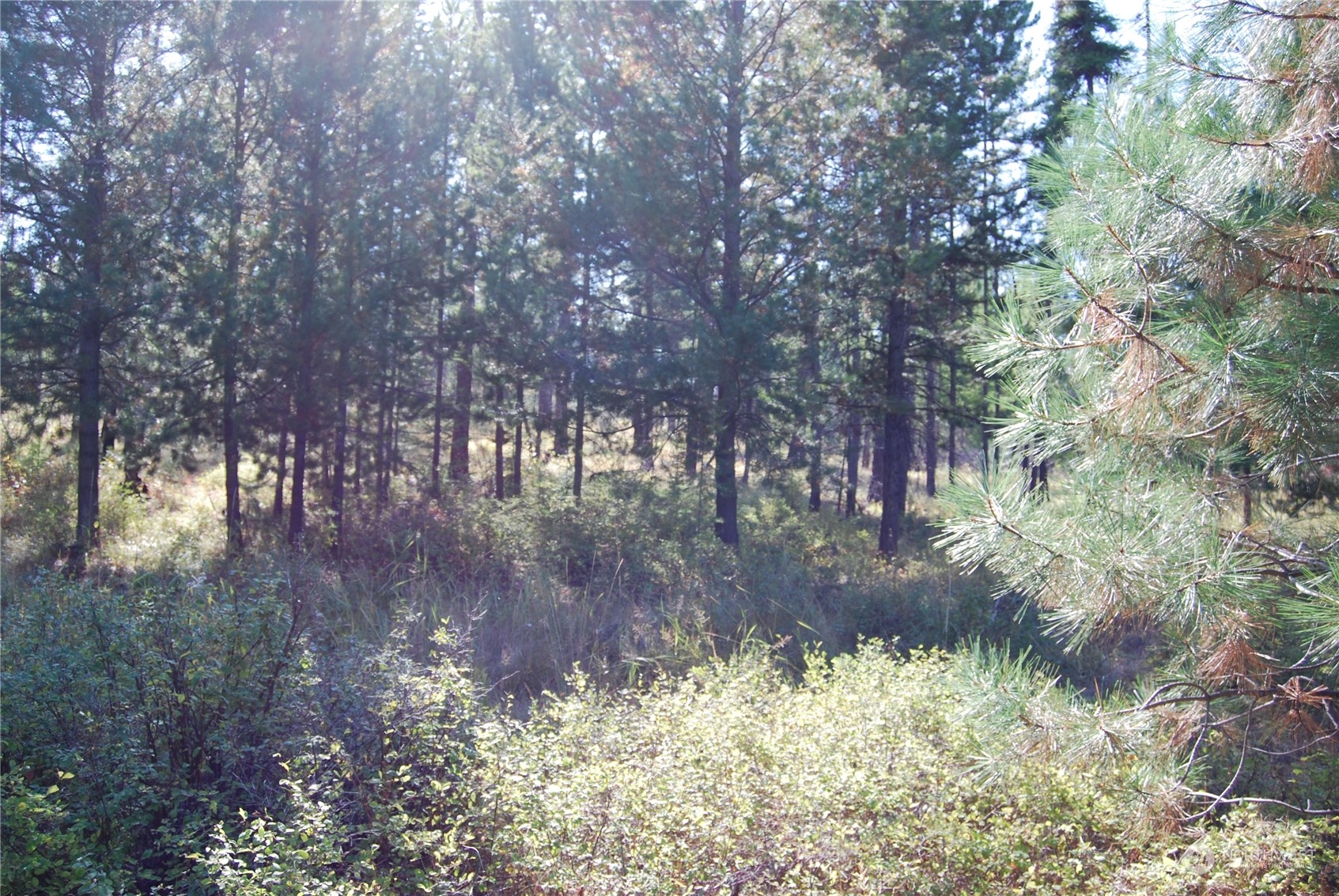 232 Stagecoach Trail Riverside, WA 98849 - Photo 19 of 25 Gallery Image 19