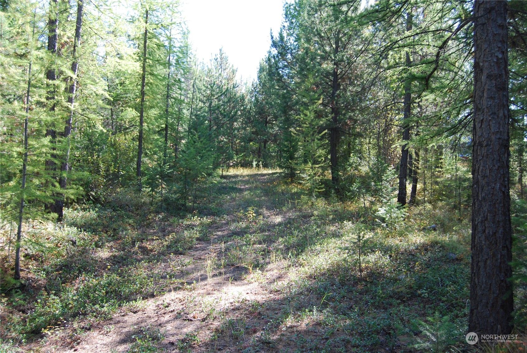 232 Stagecoach Trail Riverside, WA 98849 - Photo 21 of 25 Gallery Image 21