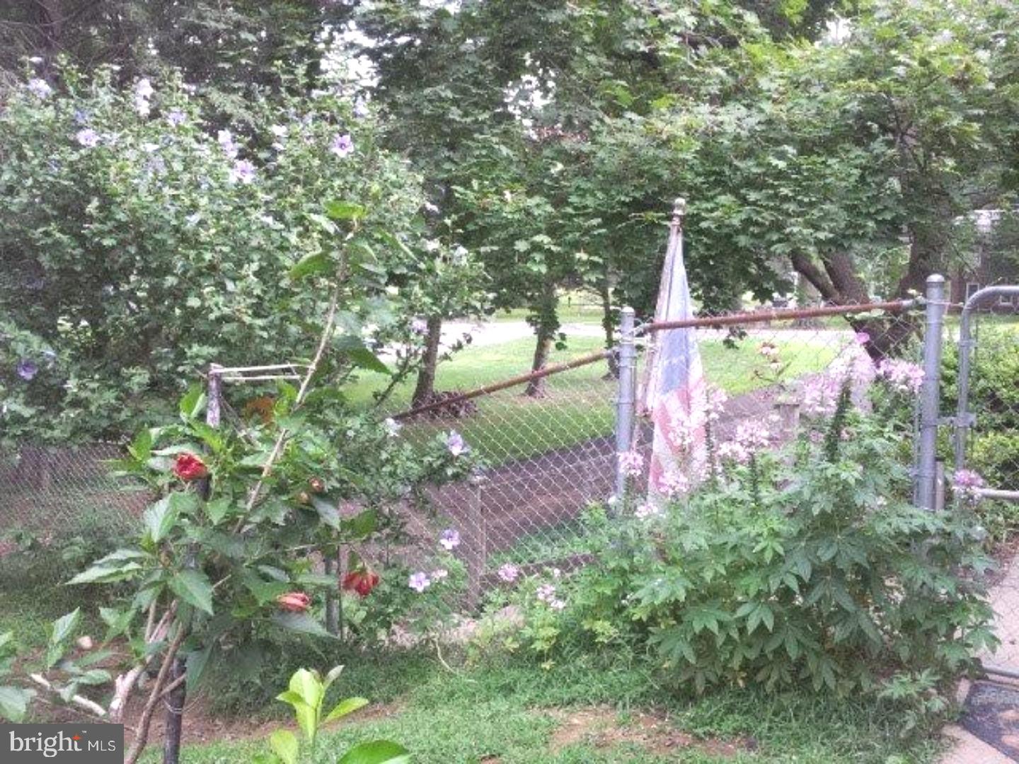 150 County Line Road Huntingdon Valley, PA 19006 - Photo 23 of 25 Garden