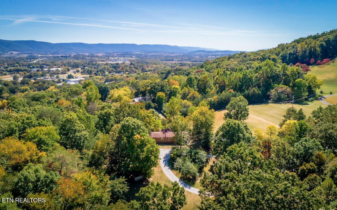 566 Old Spencer Road Pikeville, TN 37367 - Photo 3 of 31