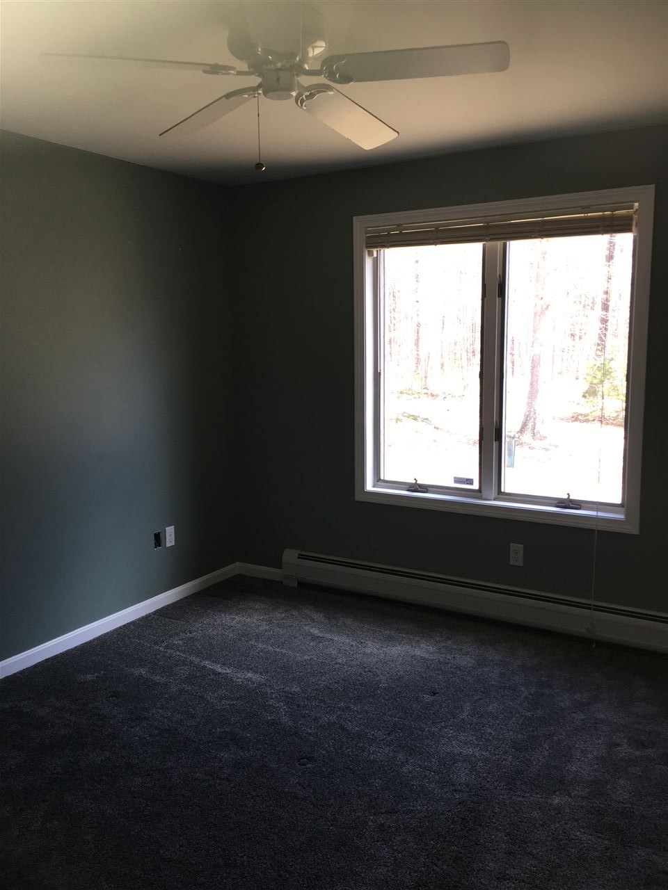 257 Swain Road Barrington, NH 03825 - Photo 16 of 33 Gallery Image 16