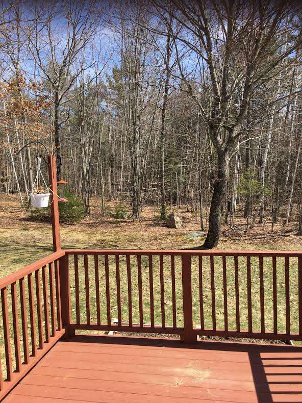 257 Swain Road Barrington, NH 03825 - Photo 28 of 33 Gallery Image 28