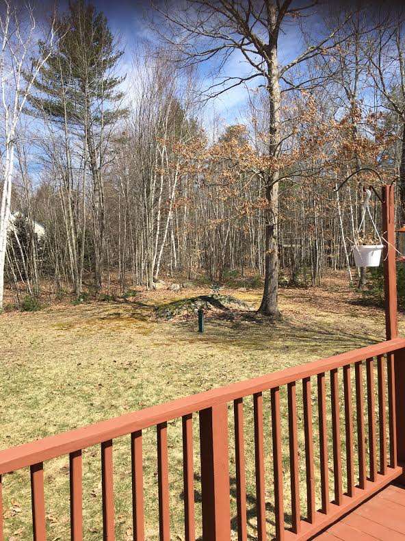 257 Swain Road Barrington, NH 03825 - Photo 29 of 33 Gallery Image 29