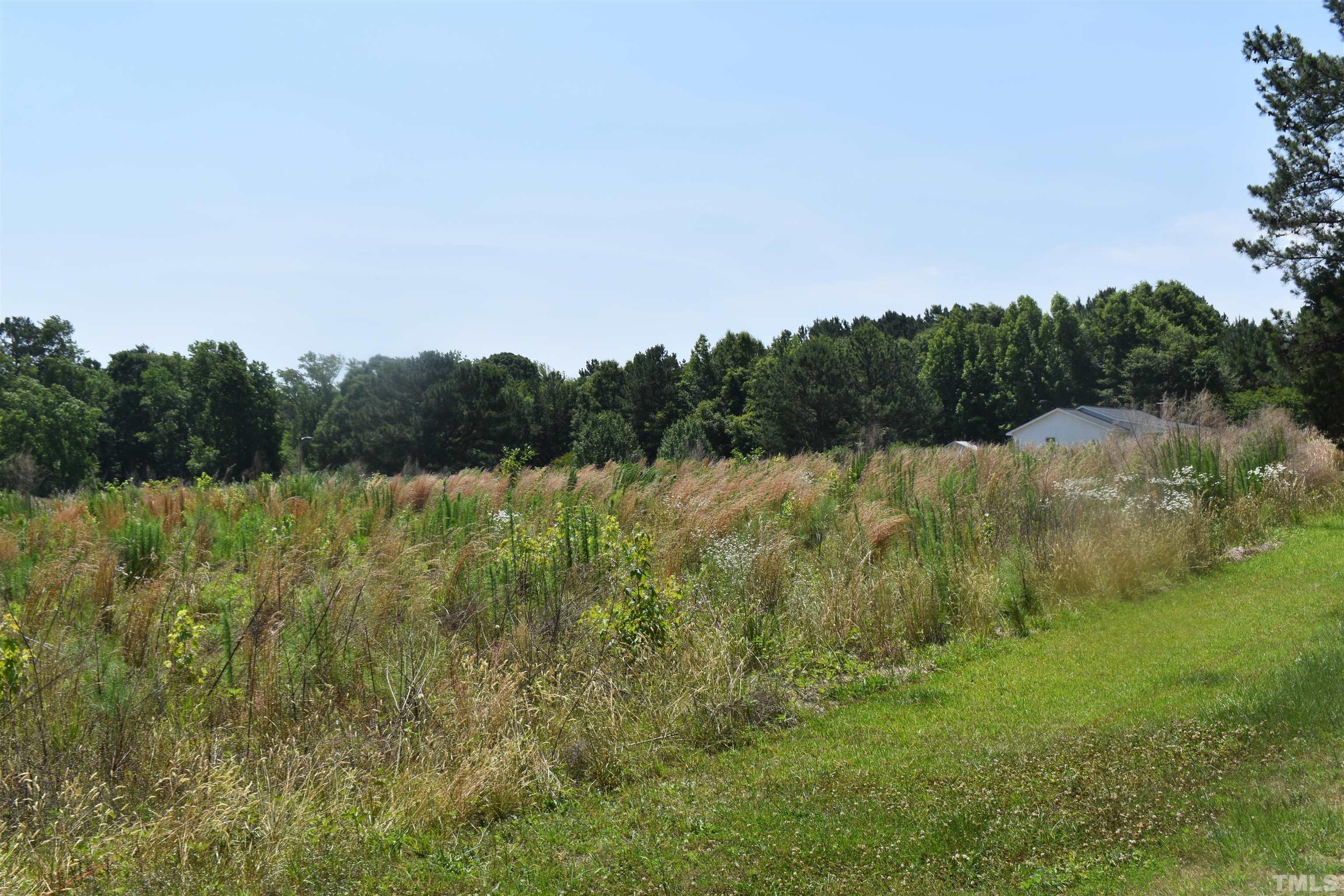 Privette Way Zebulon, NC 27597 - Photo 1 of 1 a view of mountain with lake view