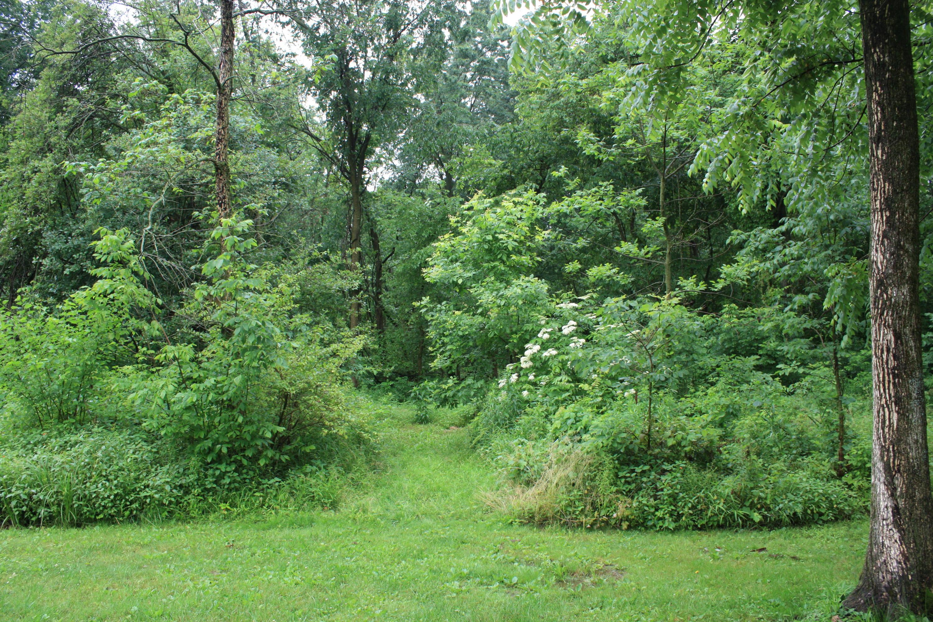 2480 Huffman Road Centerburg, OH 43011 - Photo 25 of 68 Gallery Image 25