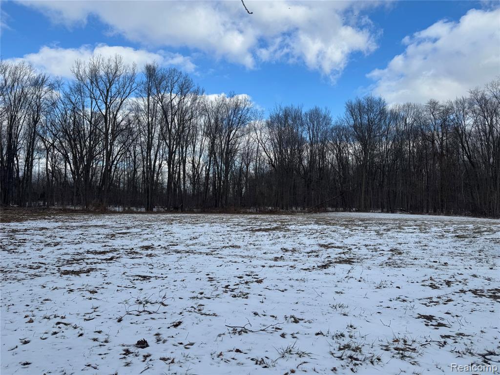 1 Remer Road East China, MI 48054 - Photo 2 of 14
