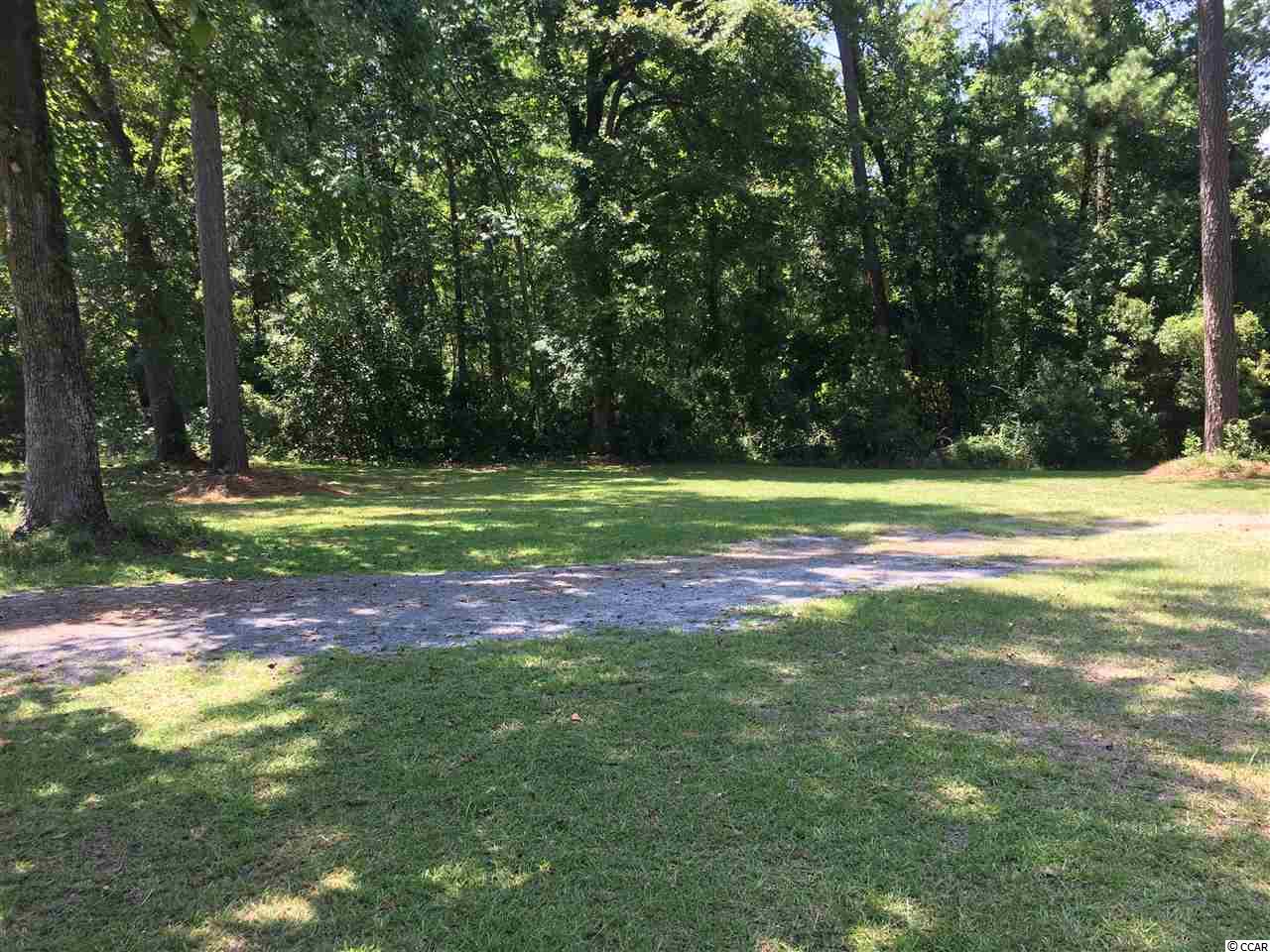 502 South Persimmon Ford Road Johnsonville, SC 29555 - Photo 3 of 14 Gallery Image 3