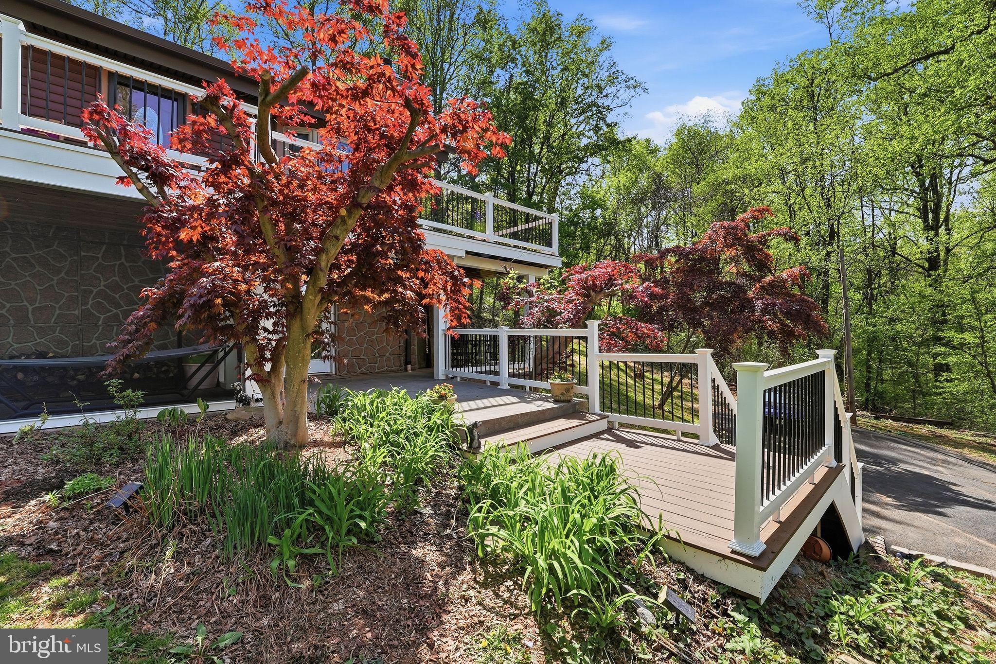 648 Creek Road Front Royal, VA 22630 - Photo 47 of 72 Gallery Image 47