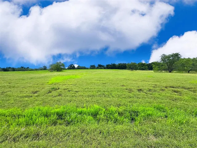 a view of a big yard with plants and large trees