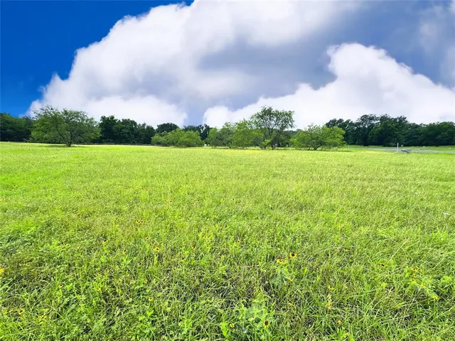 a view of field with trees in the background