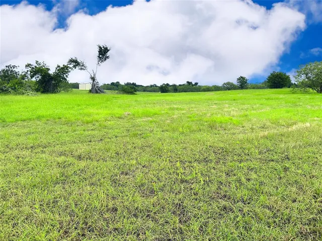a view of a big yard with plants and large trees