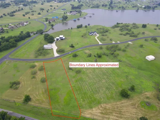 a view of a big yard with plants and a large tree