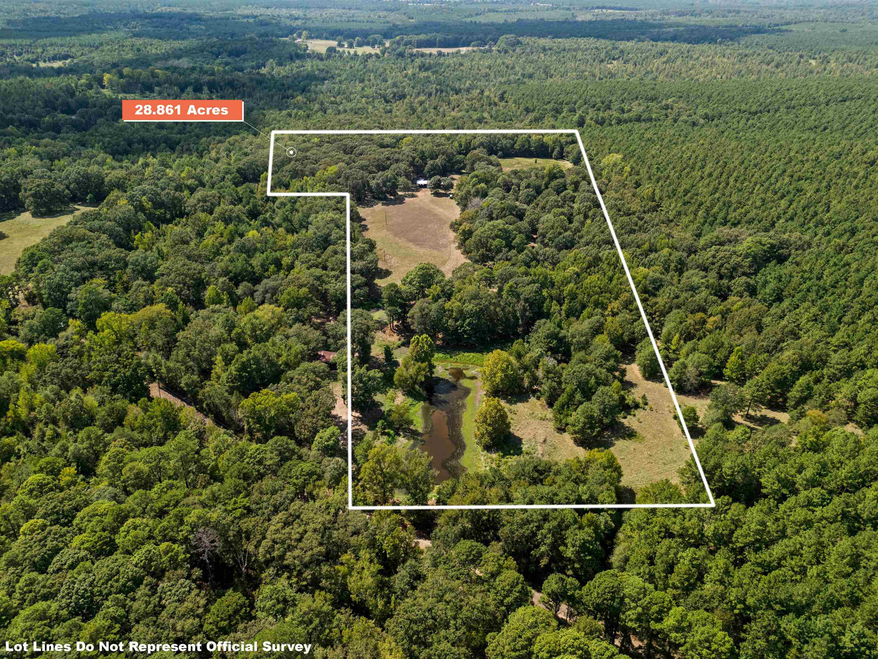 894 Lewis Chapel Road Jefferson, TX 75657 - Photo 2 of 41 Gallery Image 2