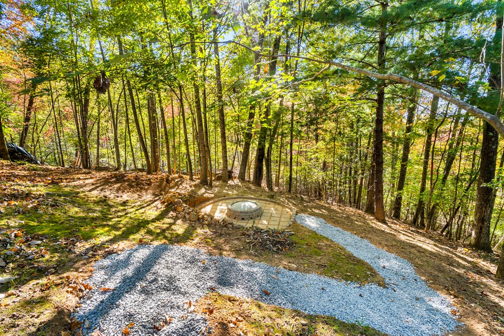 230 Pinners Point Hayesville, NC 28904 - Photo 29 of 35 a view of a yard with wooden fence
