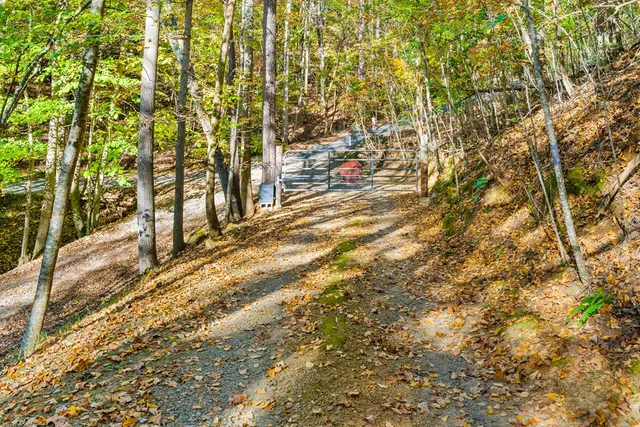 a view of a yard with plants and wooden fence
